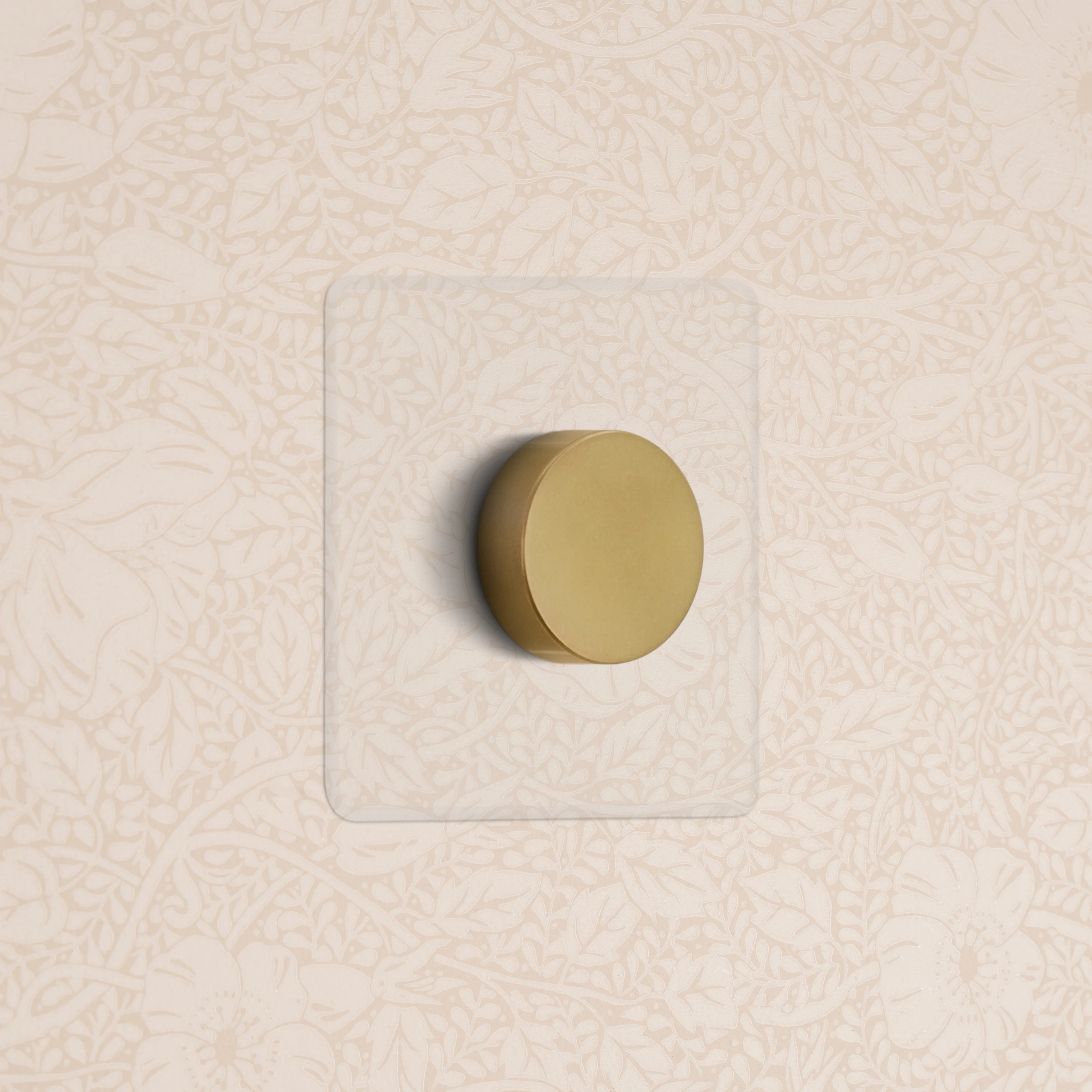 Kew Single Dimmer Switch - Clear Antique Brass