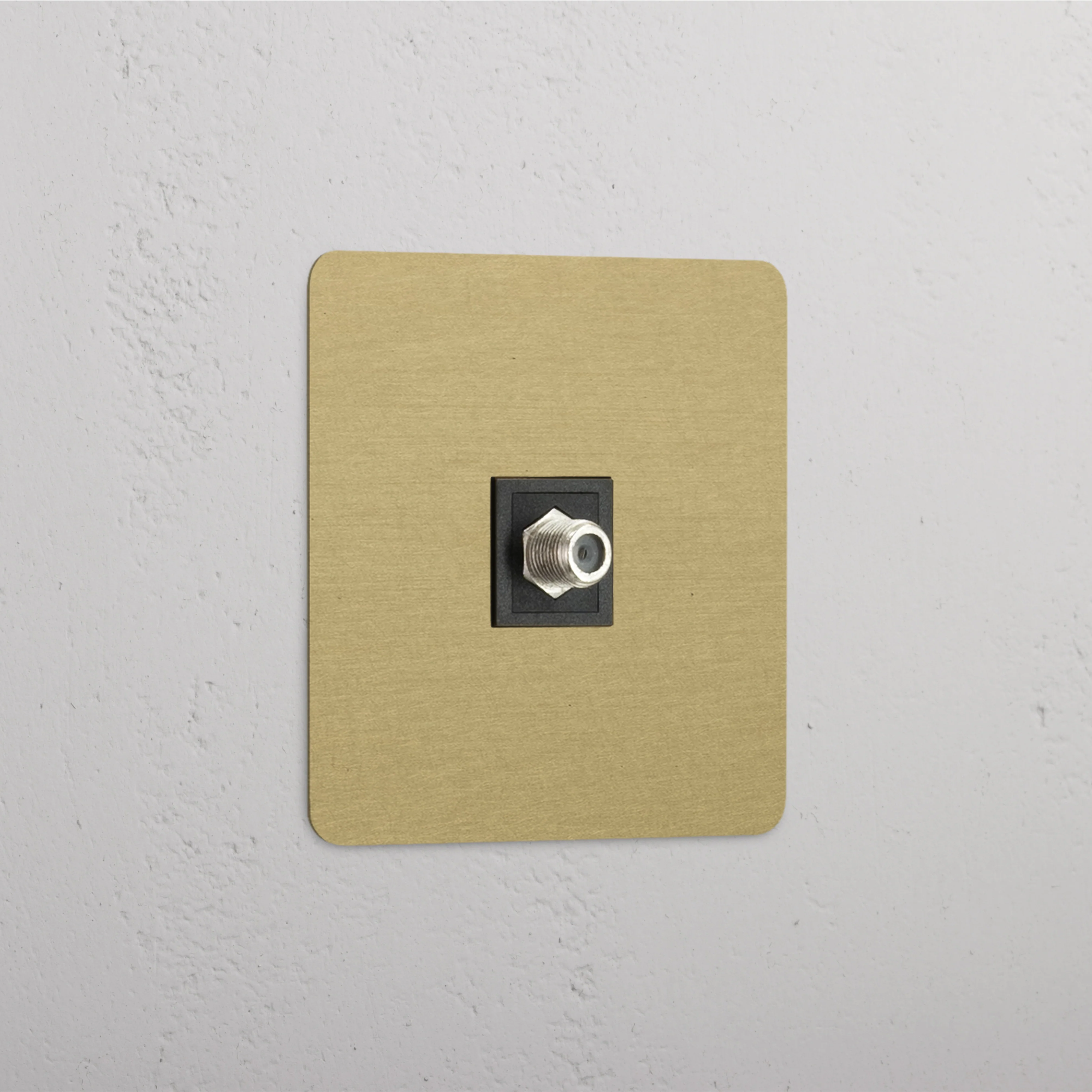 Kew Single Satellite Socket - Antique Brass | Black