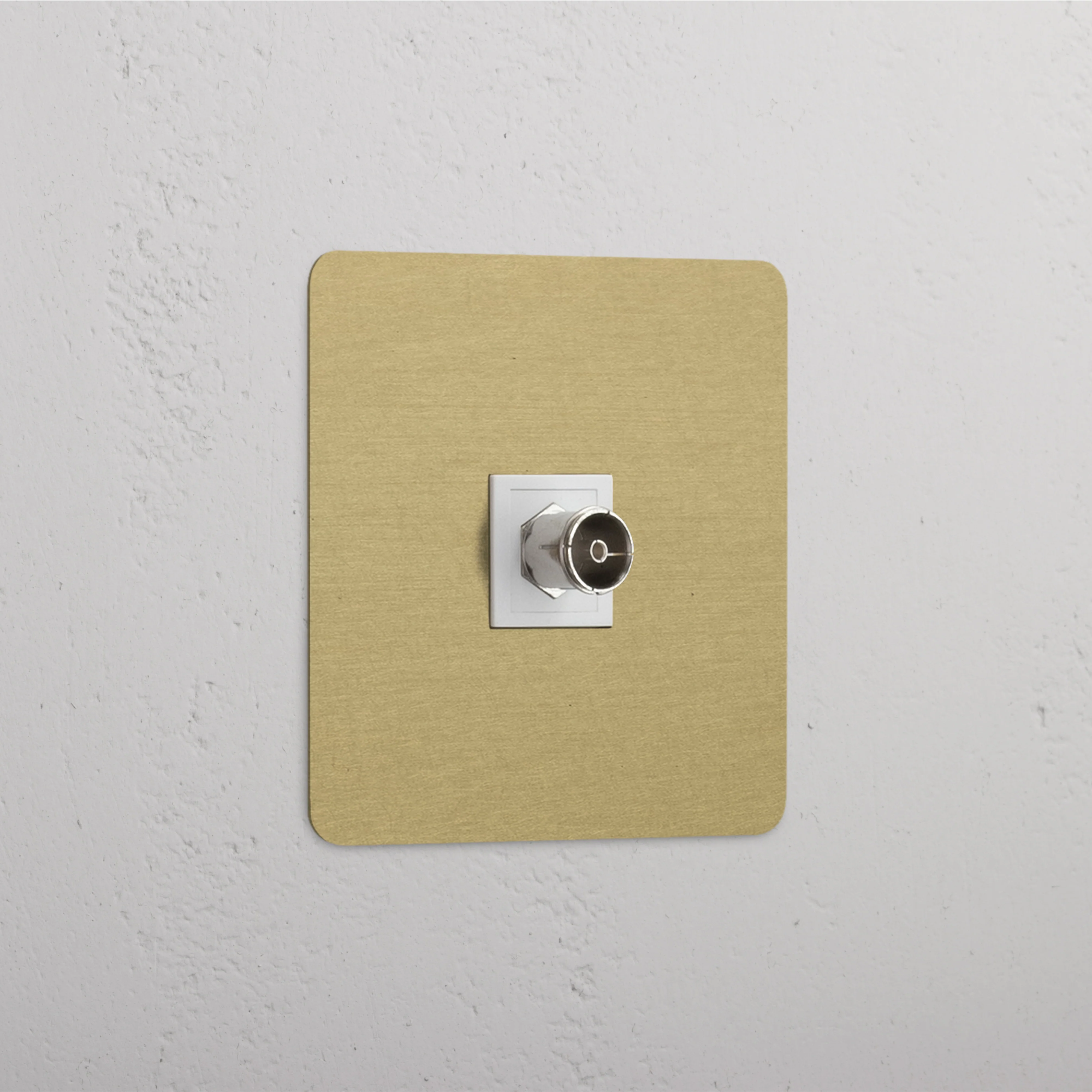 Kew Single TV Socket - Antique Brass | White