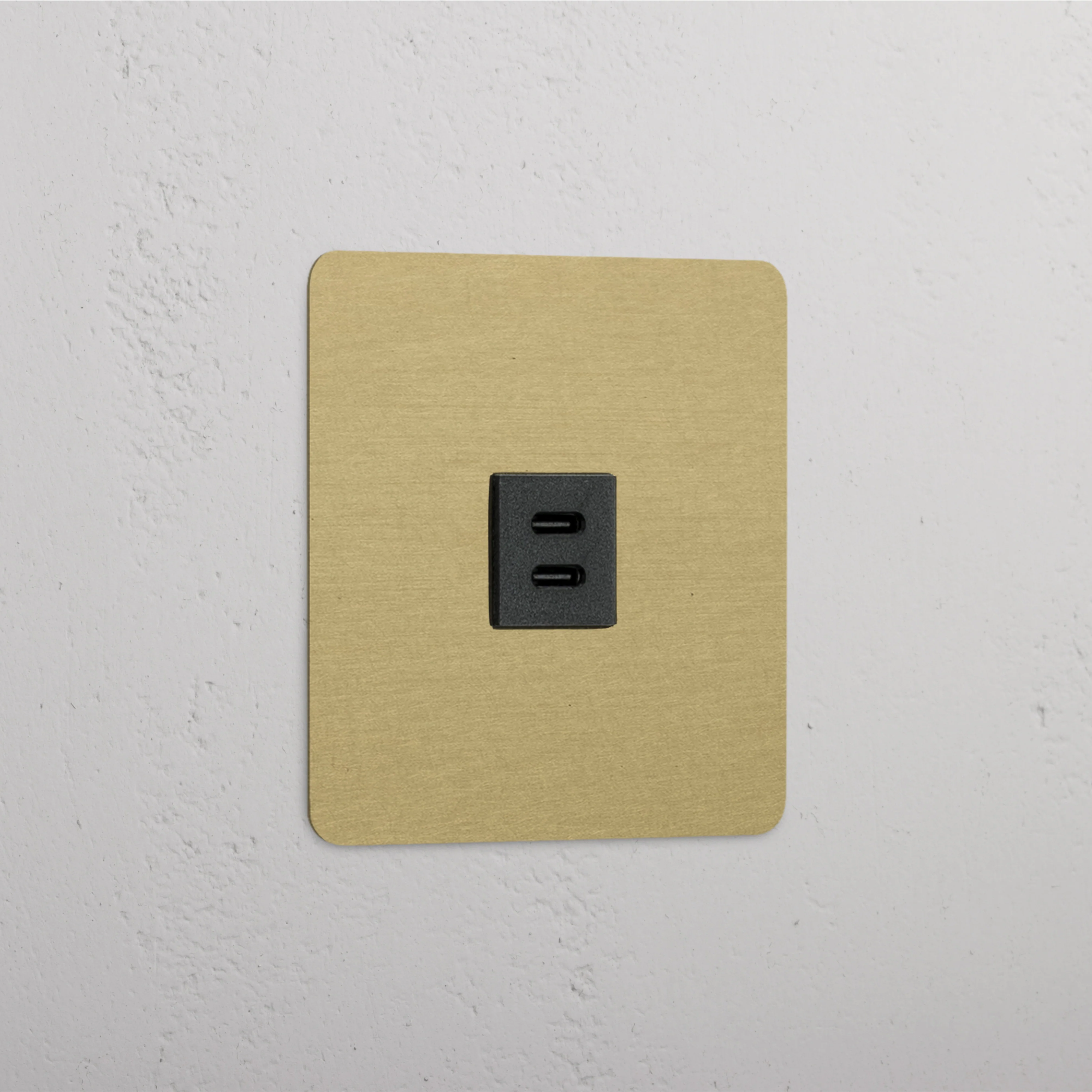 Kew Single USB-C 30W Socket - Antique Brass | Black
